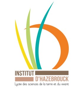 Institut Hazebrouck_logo-lycee-IH-957x1024